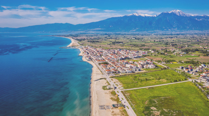 Copy of Copy of Light Brown and Cream Simple Light Wedding Event